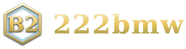 222bmw logo